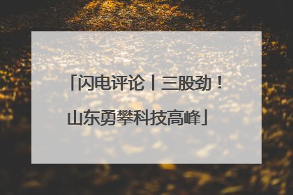闪电评论丨三股劲！山东勇攀科技高峰